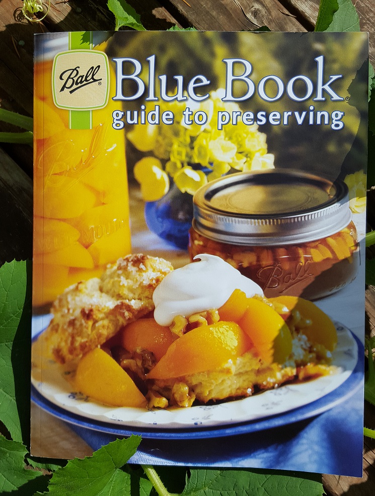 blue book1