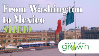 From Washington to Mexico