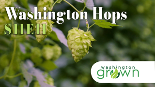 Washington Hops