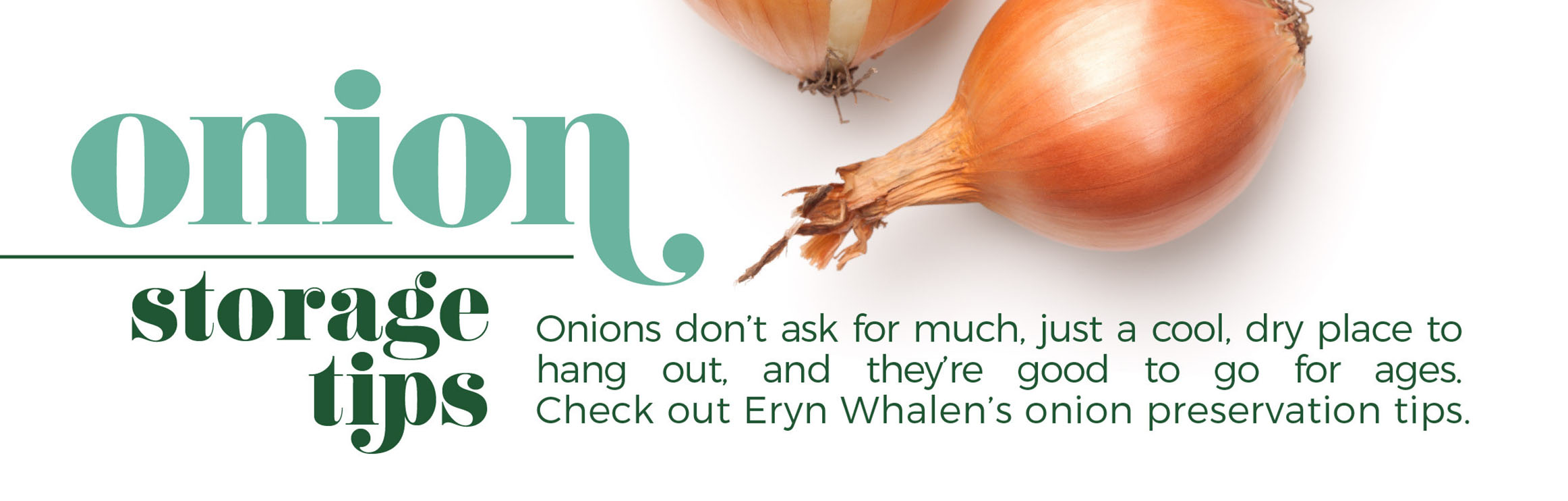 Easy-Peasy Onion Storage Tips for Every Kitchen