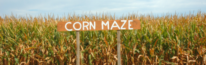 Five Corn Mazes to Visit Near Spokane
