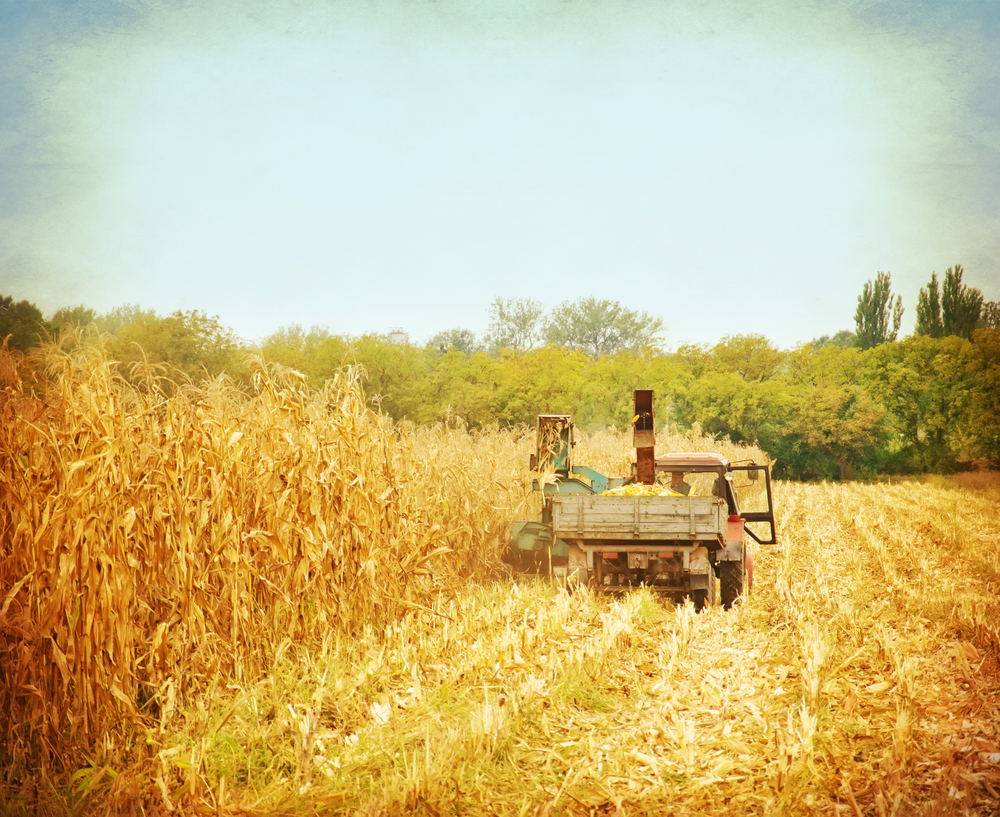 Harvest Approaches