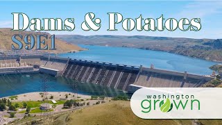 Hydroelectric Dams & Potatoes