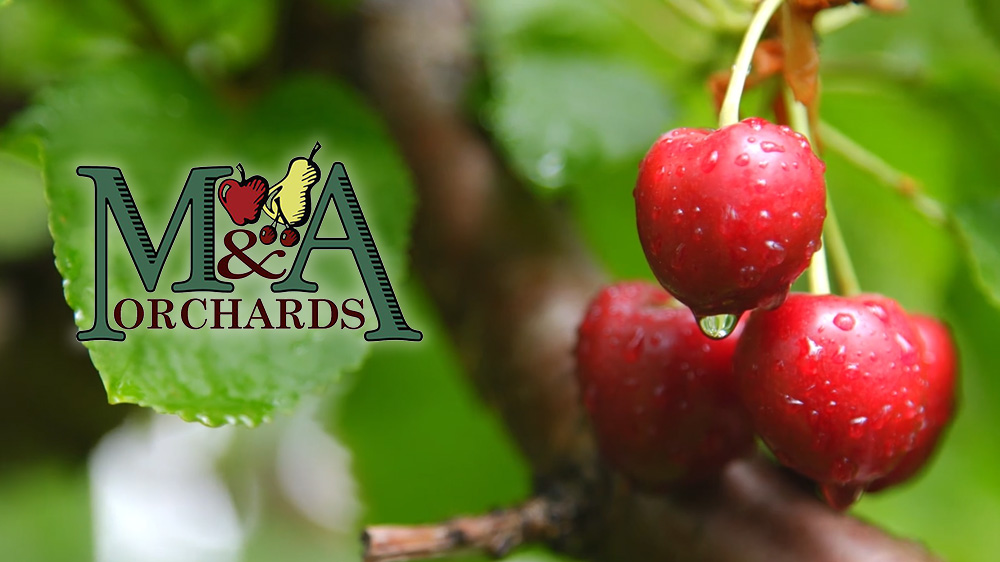 M&A Orchards