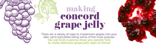 Making Concord Grape Jelly
