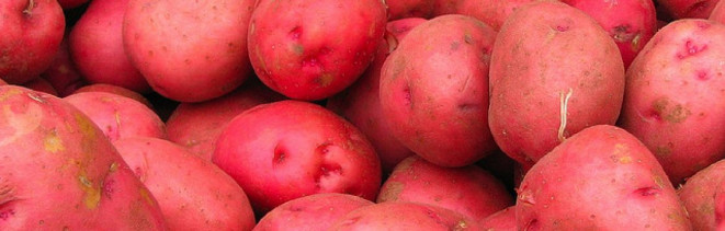 Red Potatoes and the Circle of Life