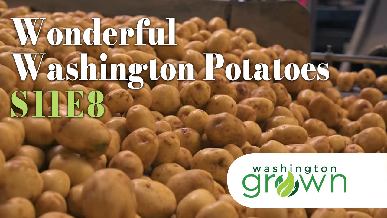 Wonderful Washington Potatoes